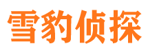 梁山调查公司